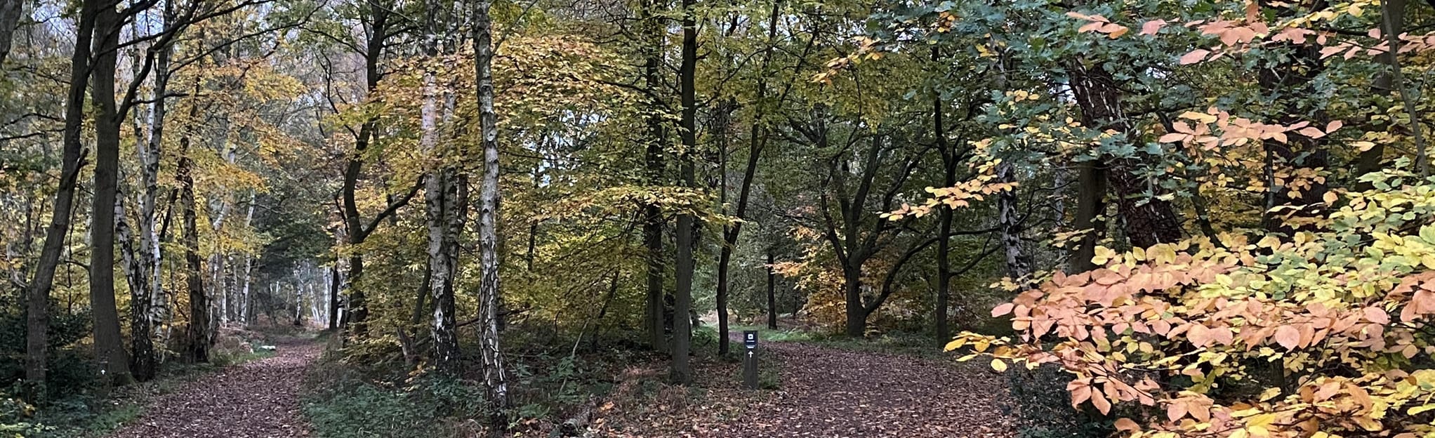 Edwinstowe Sherwood Forest Circular 14 Reviews, Map