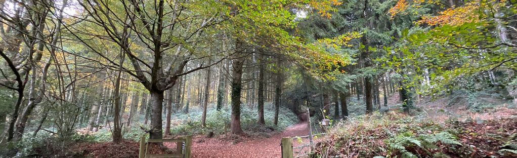 Woodbury Common, Exmouth Mountain Biking Trails