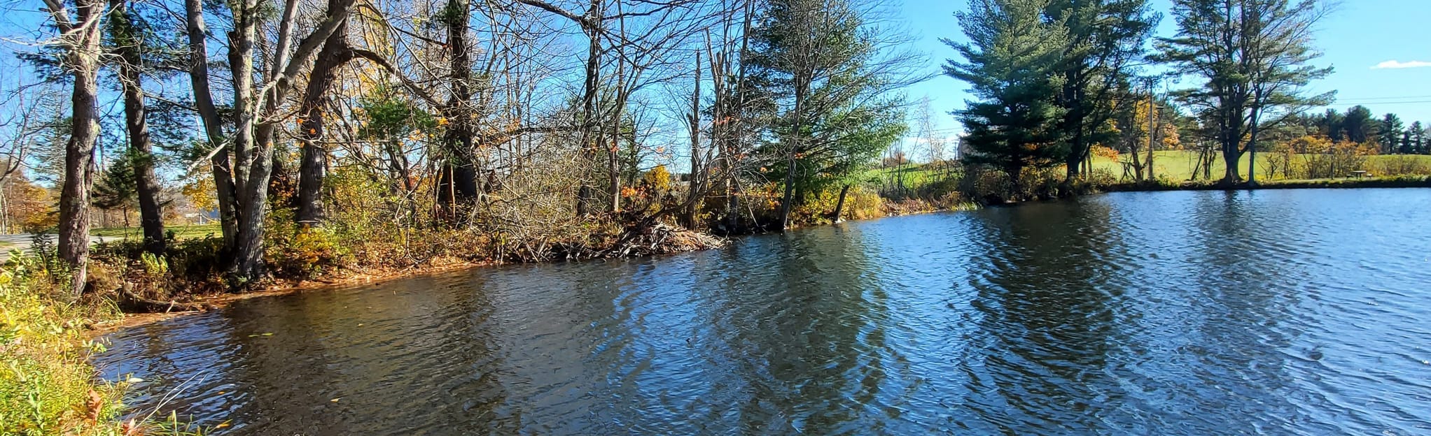 Piney Woods, Hobo Highway, and Junkyard, Maine 51 Reviews, Map