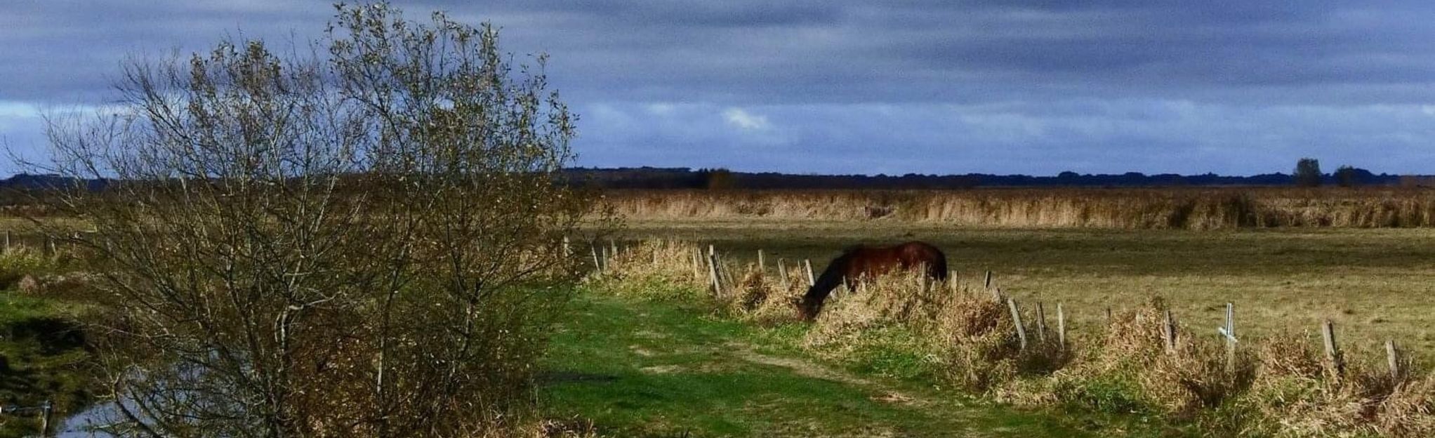 Saint-Malo-de-Guersac : Les Chaussées: 10 Fotos - Loire-Atlantique ...