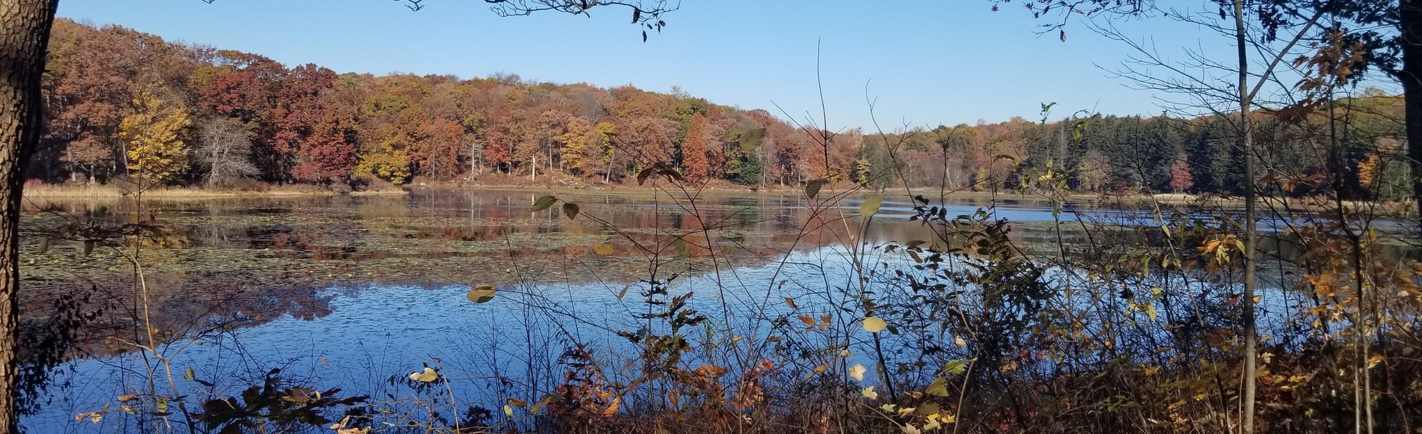 Allamuchy Blue to Red Trail Loop, New Jersey 252 Reviews, Map AllTrails