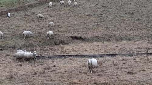 Lehrberg nach Buhlsbach