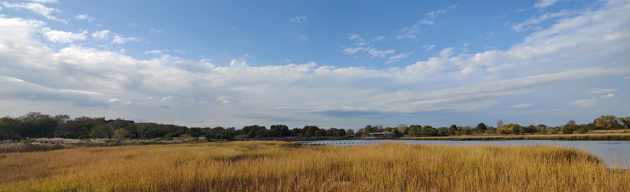 Marine Park, Gerritsen Beach, and Mill Basin New York AllTrails