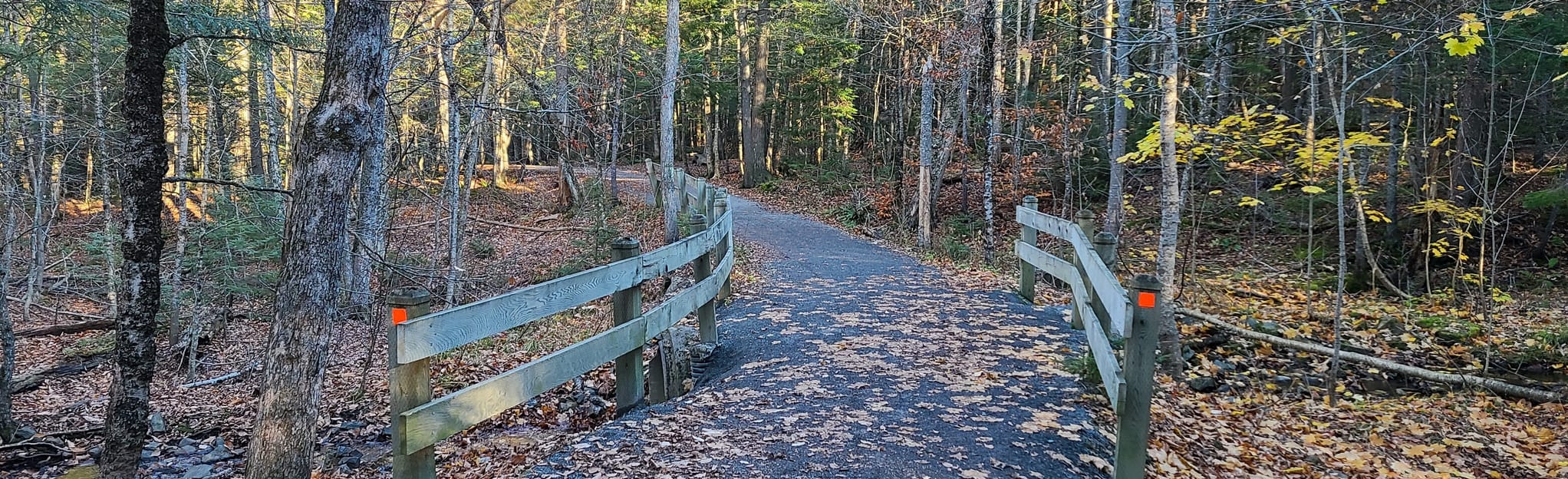 Fredericton Botanical Gardens Loop 46 Fotos New Brunswick, Kanada