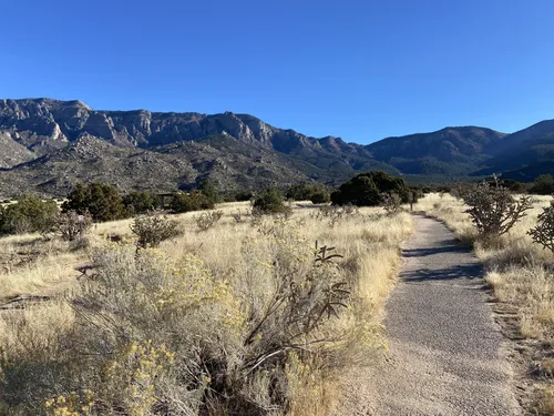 10 Best Hikes and Trails in Elena Gallegos Picnic Area/Albert G. Simms ...