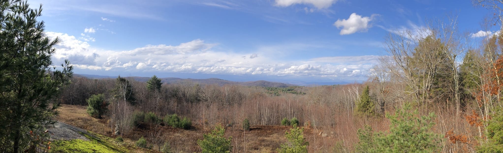 Goshen Land Trust Trail 78 Reviews, Map Connecticut AllTrails