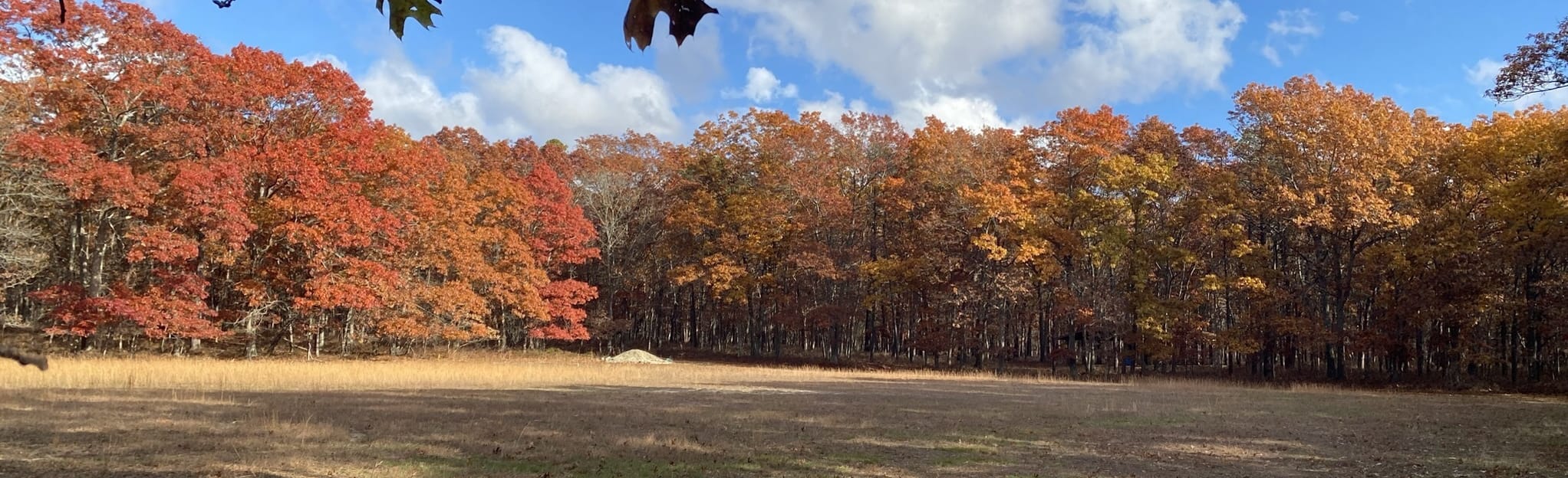 Wading River Road Loop, New York 168 Reviews, Map AllTrails