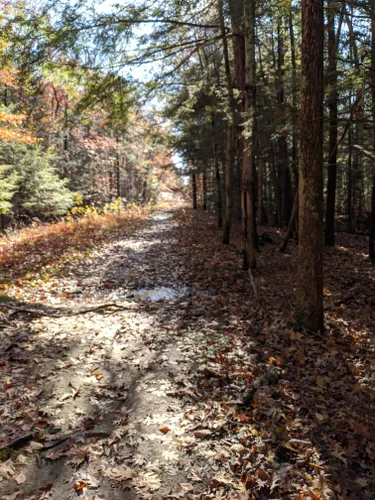 Best Hikes and Trails in Ahern State Park | AllTrails