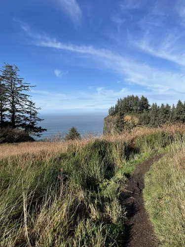 10 Best Hikes and Trails in Oswald West State Park | AllTrails