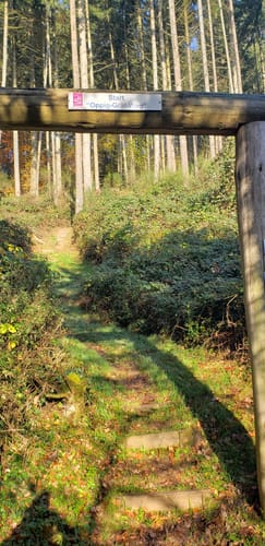 Oppig-Grät-Weg (Traumschleife)