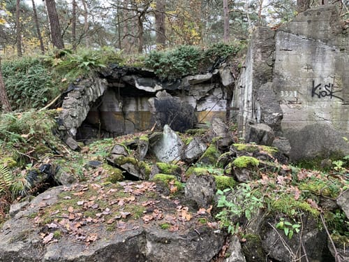 Besenhorster Sandberge und Elbsandwiesen