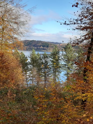 Von Altenberg über Lindscheid und entlang der Großen Dhünntalsperre