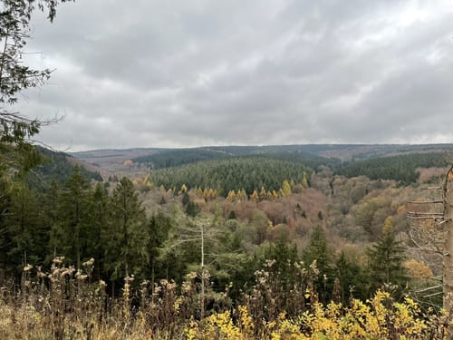 Biberweg und Todtenbruch