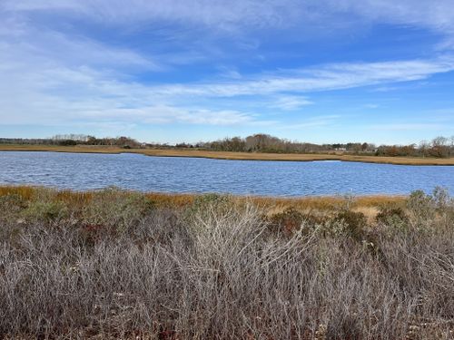 Best Hikes and Trails in Orient Beach State Park | AllTrails