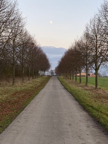 Rund um die Massenheimer Kiesgrube ab Hochheim