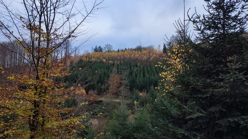 Holthausen und Raffenberg Rundweg