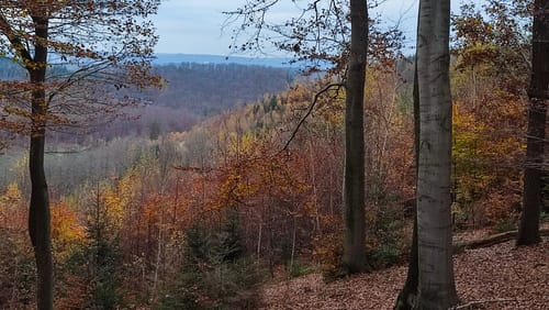 Holthausen und Raffenberg Rundweg