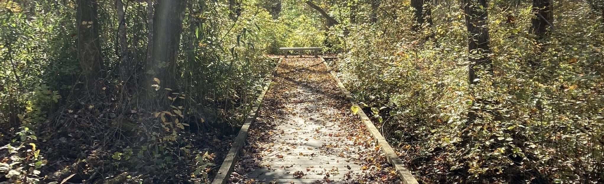 West Ditch Boardwalk Trail, Virginia 12 Reviews, Map AllTrails