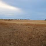 Scorton Creek Marsh Trail, Massachusetts - 53 Reviews, Map | AllTrails