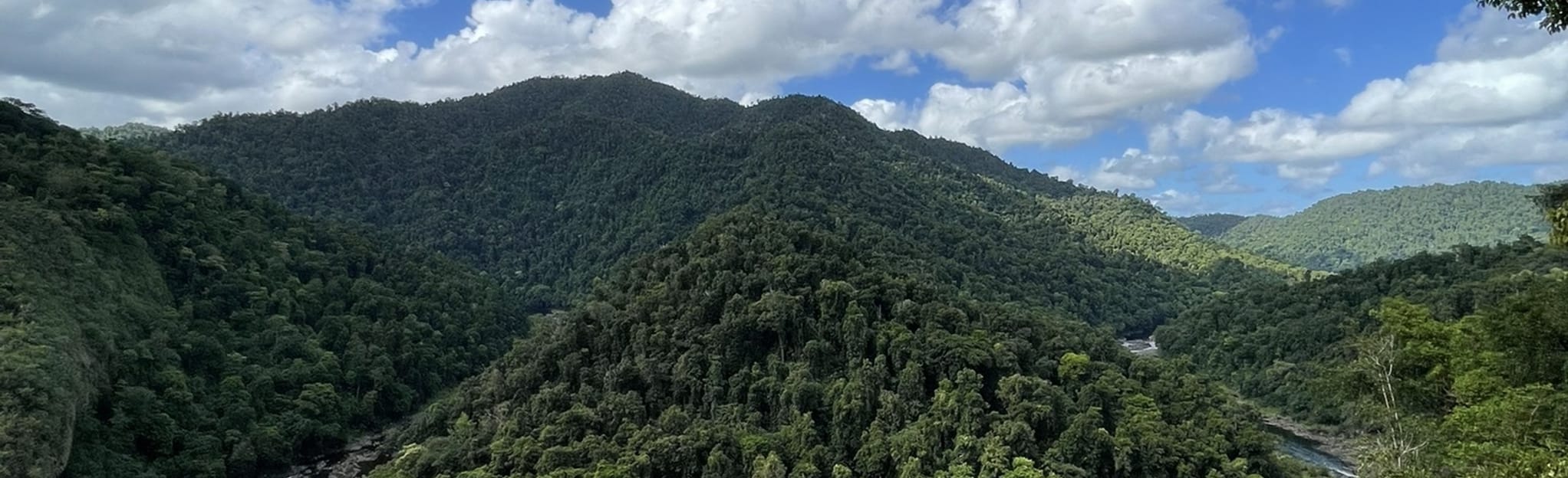 North Johnstone River and Lookout 20 Reviews, Map Queensland, Australia AllTrails