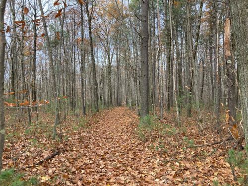 brooks woodland preserve