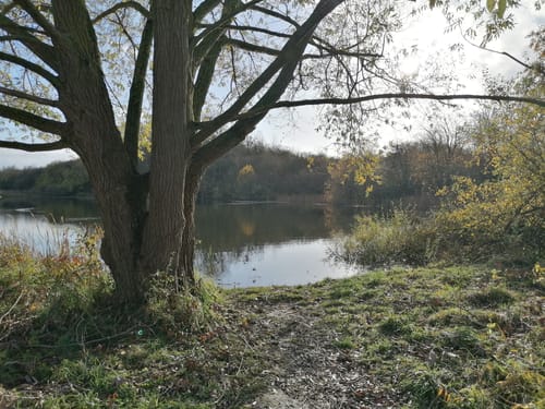 Landschaftsgarten Brodaer Teiche