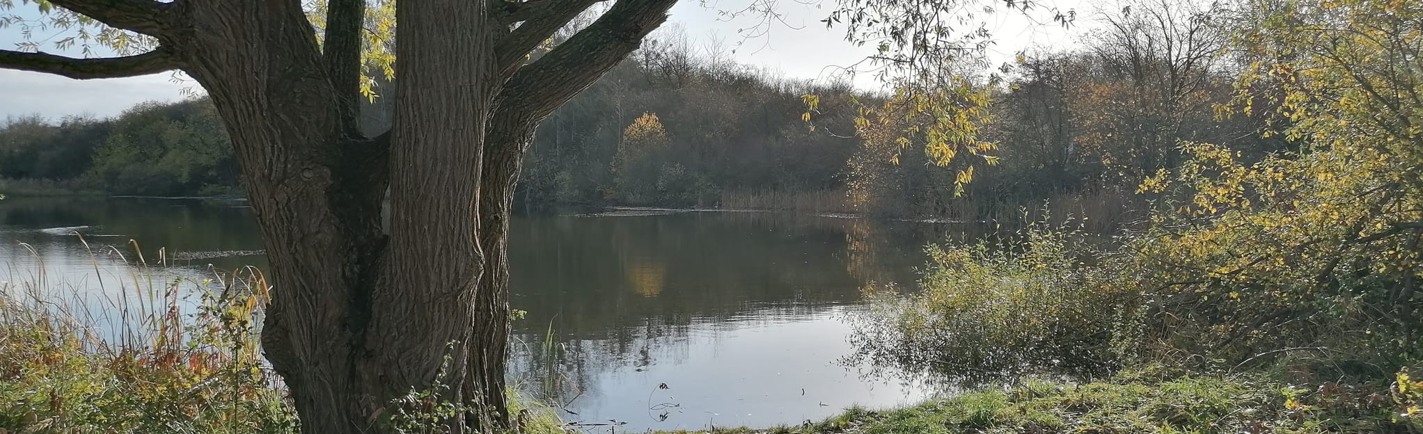 Landschaftsgarten Brodaer Teiche, MecklenburgWestern Pomerania