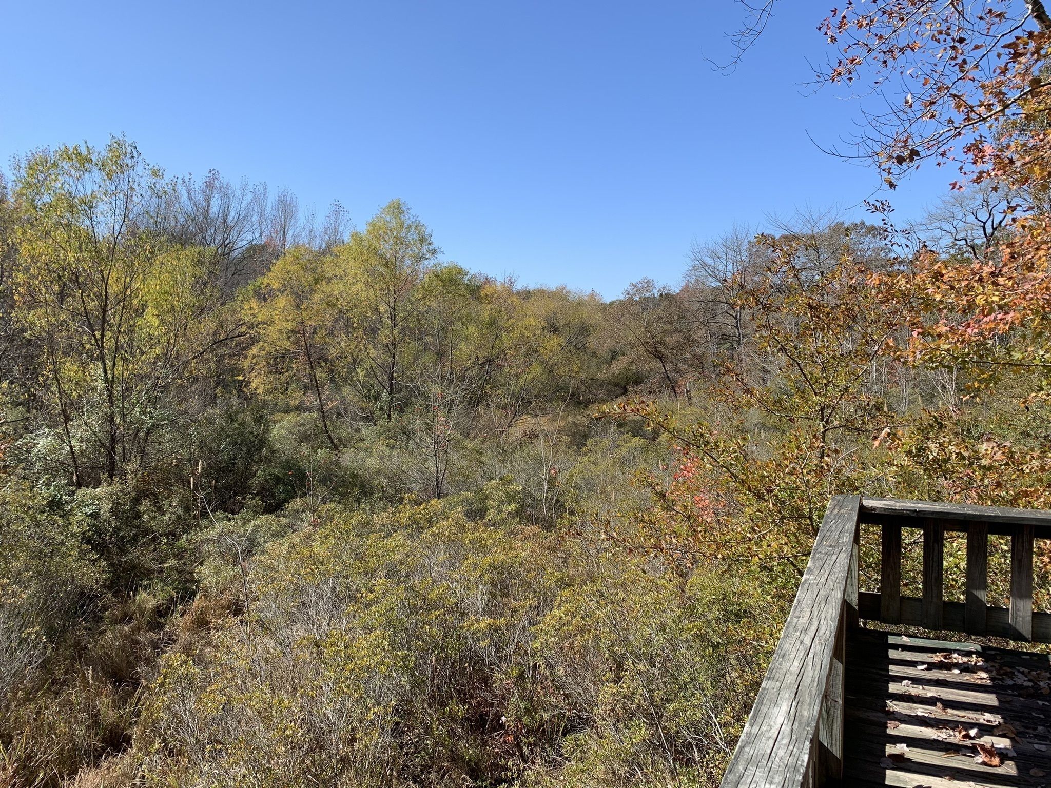 Photos of East Texas Arboretum, Texas trails | AllTrails