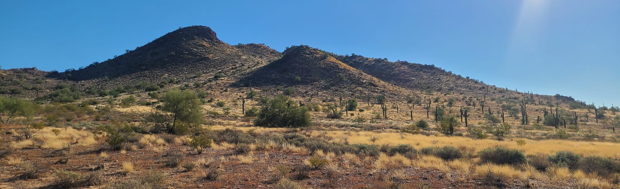 Silly Mountain Botanical Walk, Arizona 49 Reviews, Map AllTrails