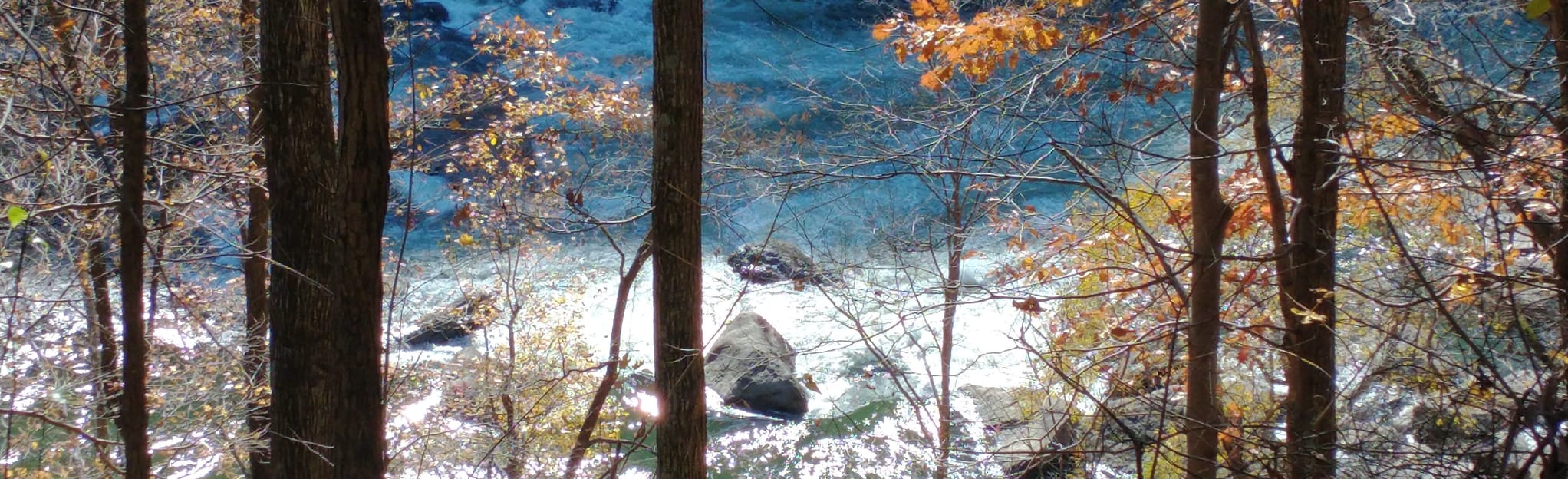 Tipple and Seldom Seen Trail 29 Reviews, Map West Virginia AllTrails