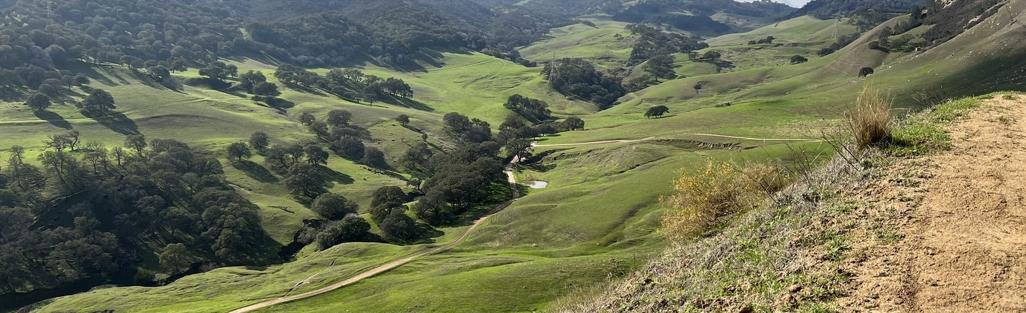 Railroad Bed Trail, Stewartville Trail, and Prospect Tunnel Loop 25