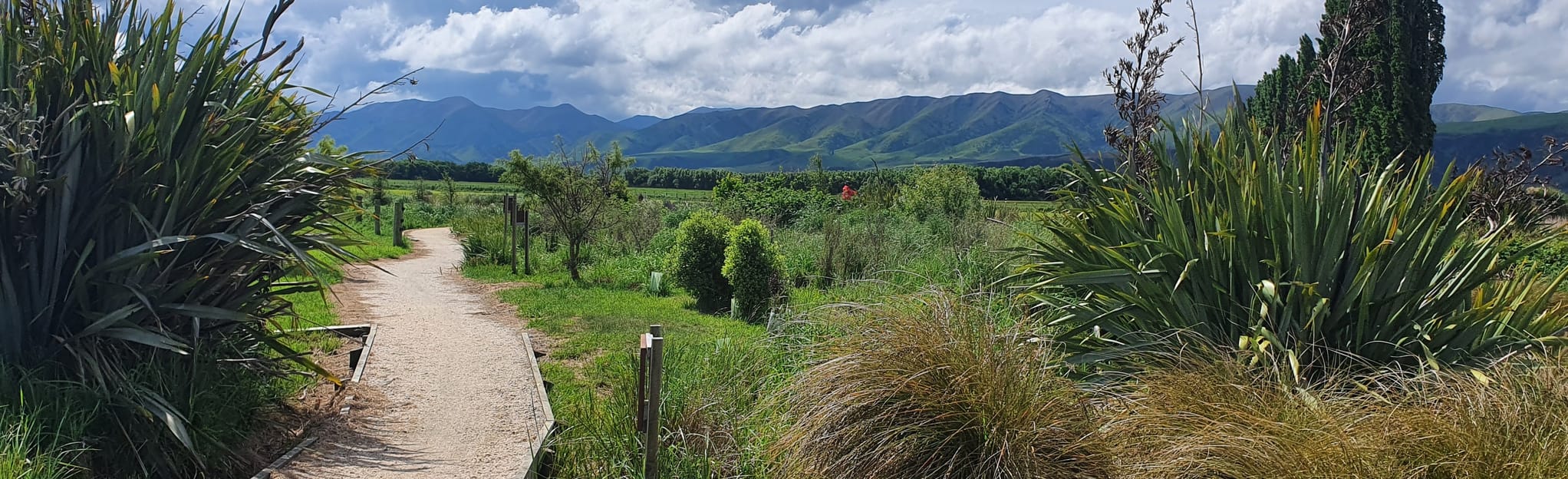 Alps to Ocean Section 8 Kurow to Duntroon 17 Reviews, Map