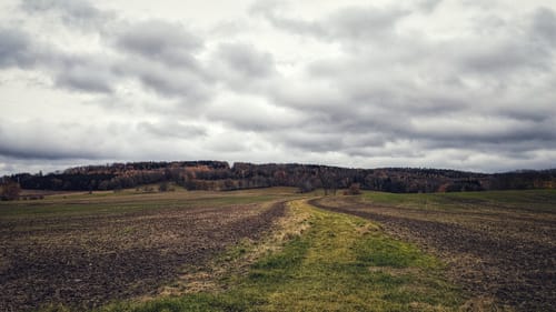 Neustadt Anbau Rundweg