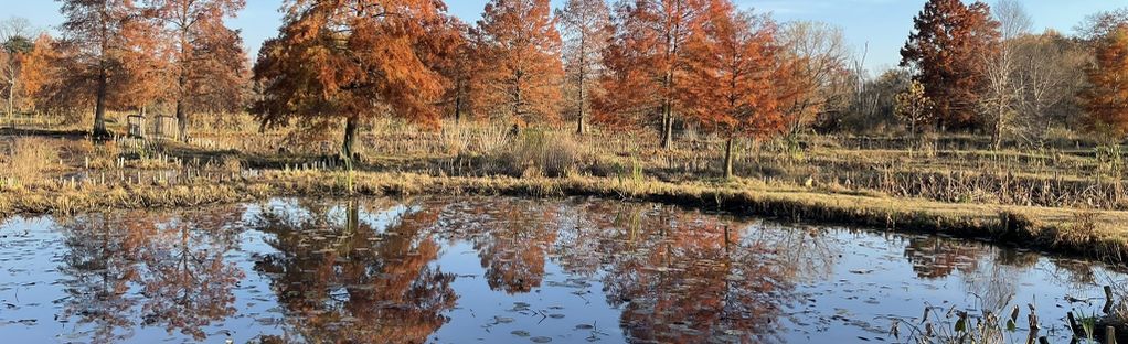 Kenilworth Park and Aquatic Gardens, VISITOR CENTER