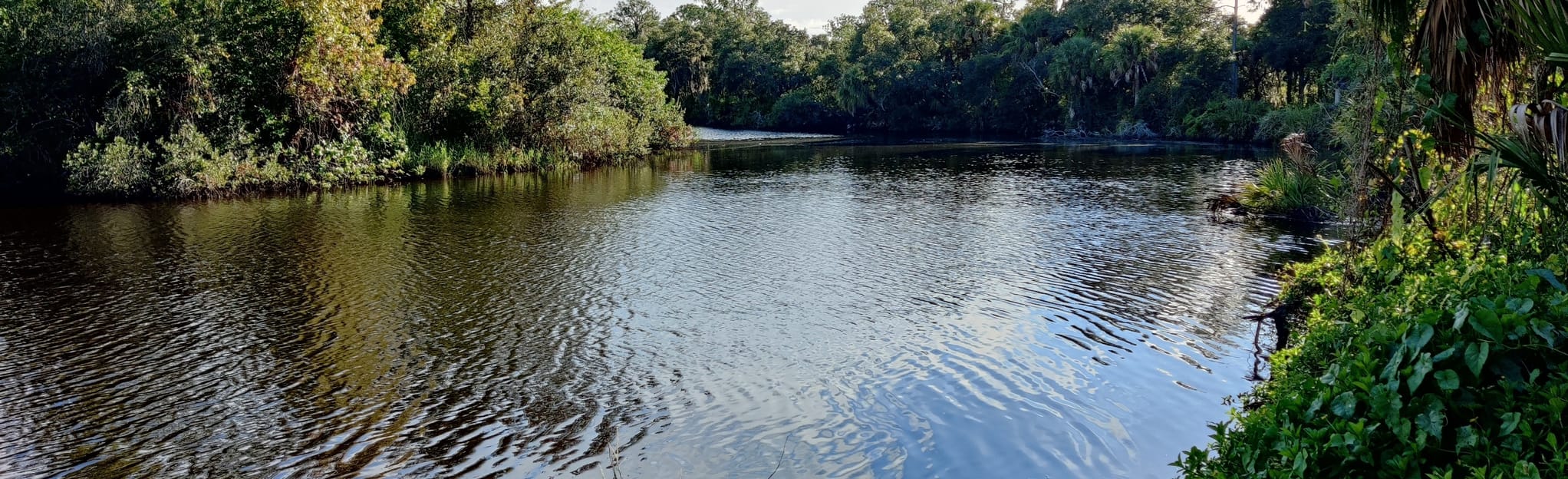 Camp Bayou Loop, Florida 39 Reviews, Map AllTrails