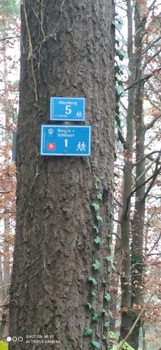 Burg Abenberg und Abenberger Wald