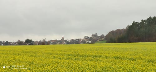 Burg Abenberg und Abenberger Wald