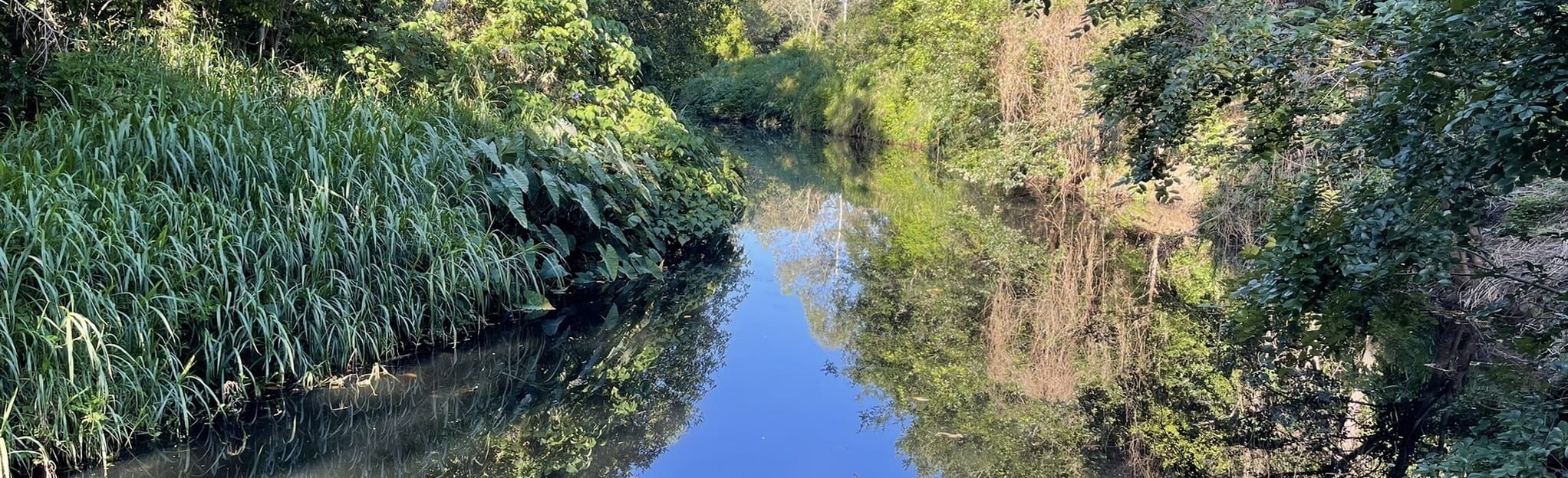 Enoggera Creek Bikeway via Banks Street Reserve 66 Fotos Queensland