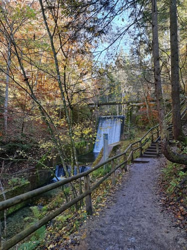 Wildparkrunde