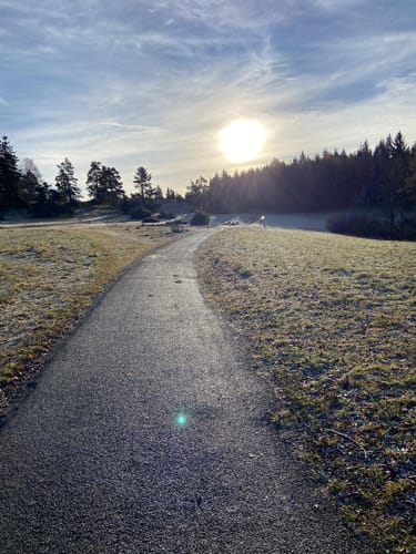 Felsenmeersteig (Traufgang)