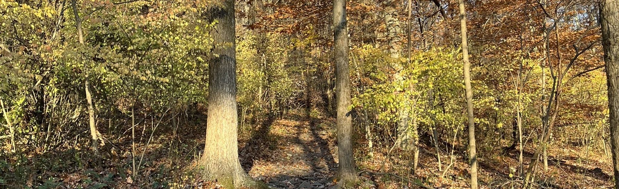 Life, Flight And Kidney Stone Trail | Map, Guide - Pennsylvania | AllTrails