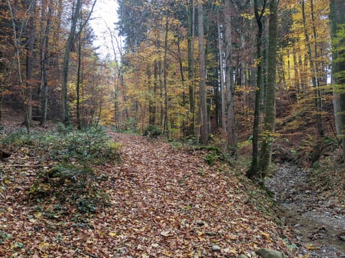Teisendorf nach Höglwörth