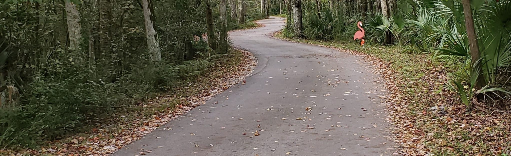 Pepper Creek Trail via Homosassa Springs Visitor Center 58 Reviews