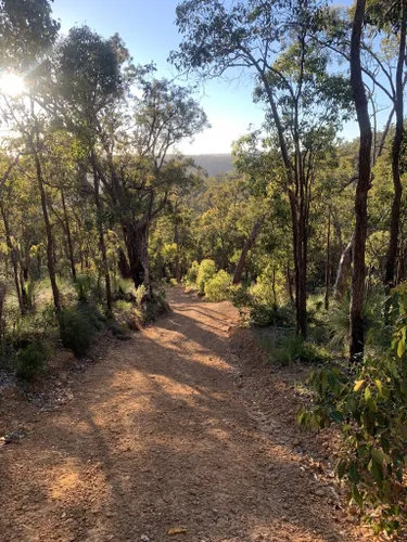 Dappled sunlight on river and river rocks Australian bush Stock