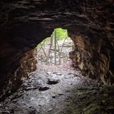 Wolf Pen Gap OHV Trail, Arkansas - 77 Reviews, Map | AllTrails