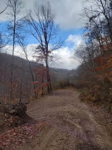Best Off Road Driving Trails in West Virginia | AllTrails