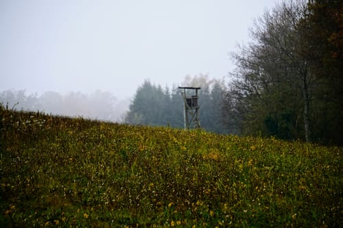 Trulber Sandhasentour (Premiumwanderweg)