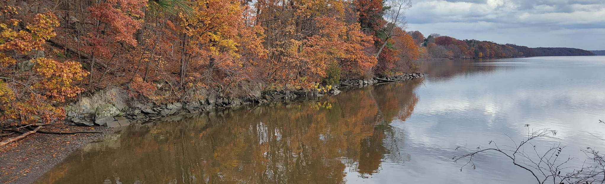 Black Creek Preserve Trail 737 Reviews, Map New York AllTrails