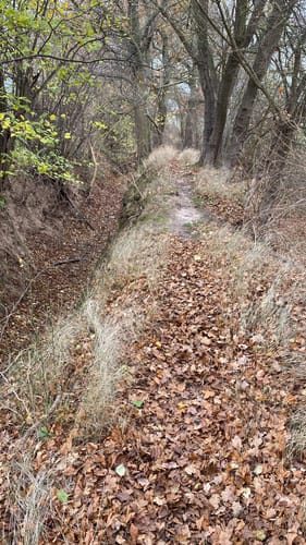 Wanderung zur Hessens Krone