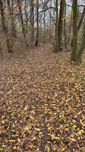 Wanderung zur Hessens Krone